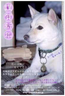 ２００６年　戌年