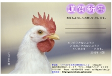 ２００５年　酉年