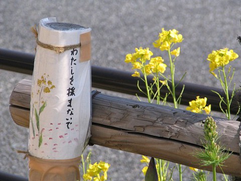 注意・警告の一つの形