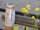 注意・警告の一つの形