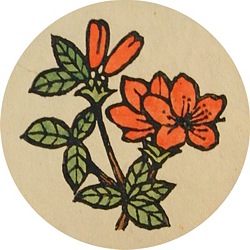 山躑躅 山躑躅